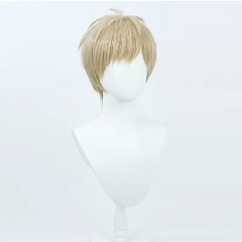 Kostum Cosplay Wig Rambut Pend - Anime Cosplay One Punch Man ulasan dan harga