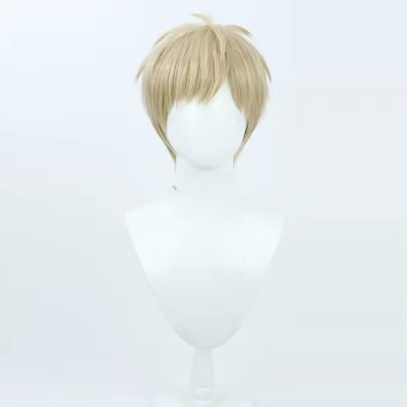 Kostum Cosplay Wig Rambut Pend - Anime Cosplay One Punch Man ulasan dan harga