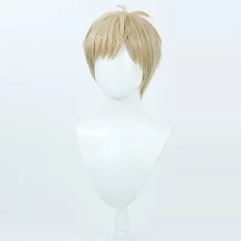 Kostum Cosplay Wig Rambut Pend - Anime Cosplay One Punch Man ulasan dan harga