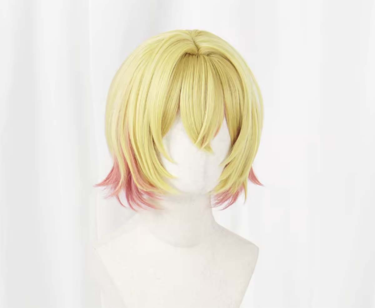 Wig Cosplay Wanita Anime Rent- - Anime Cosplay Girlfriend ulasan dan harga